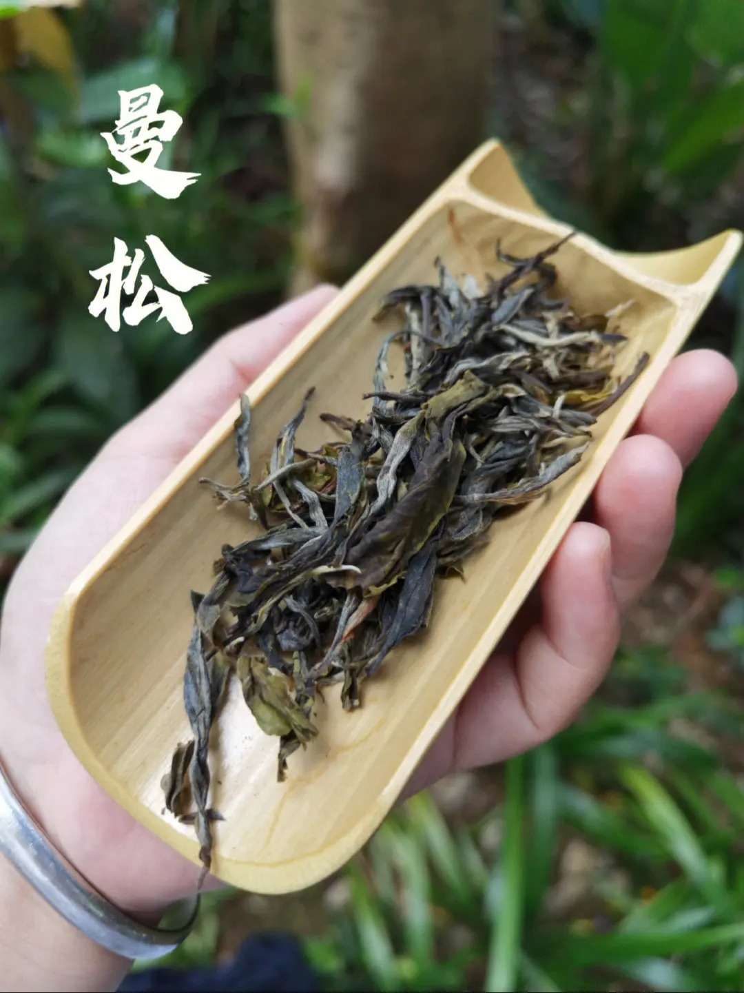 曼松贡茶是什么茶