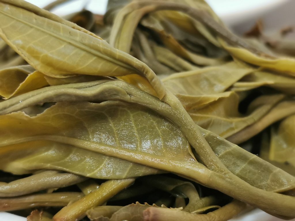 班盆古树茶价格