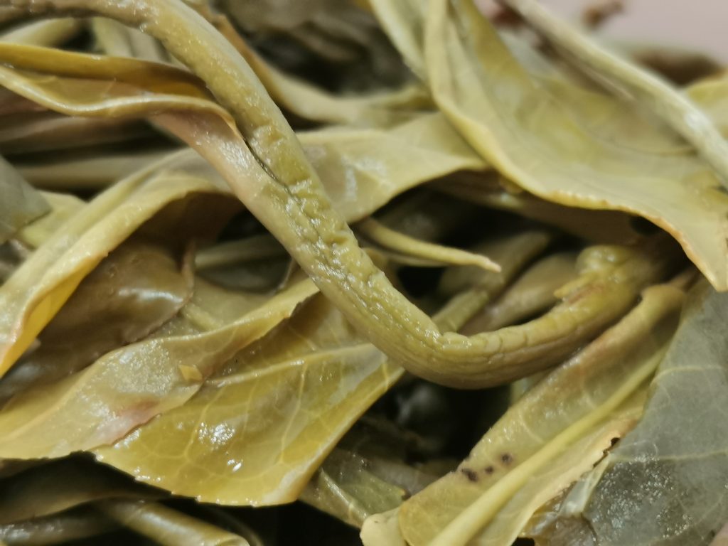 班盆古树茶特点