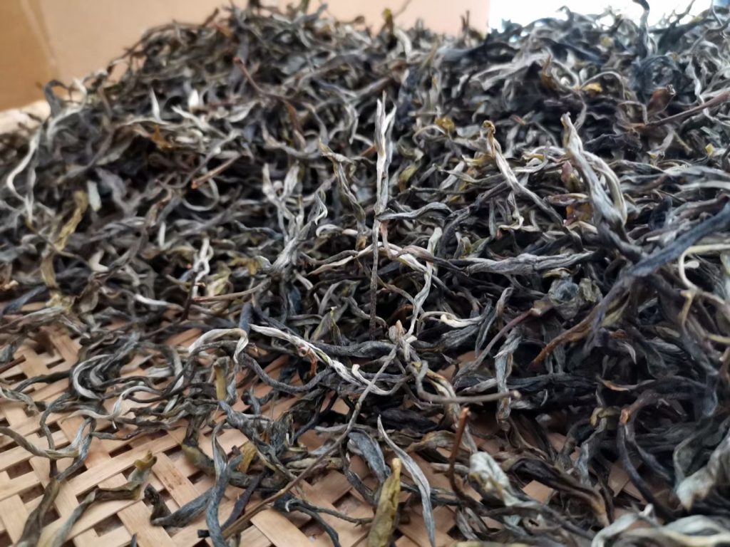 易武茶区特点简介