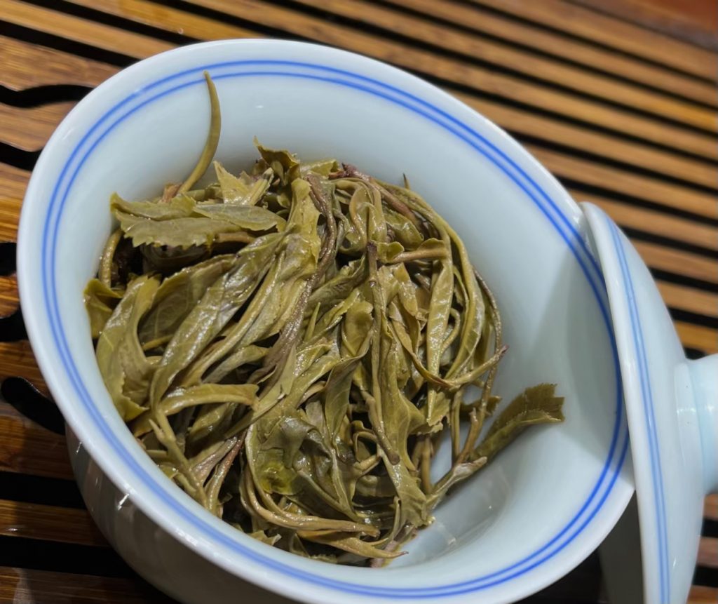 哆依树生茶普洱茶