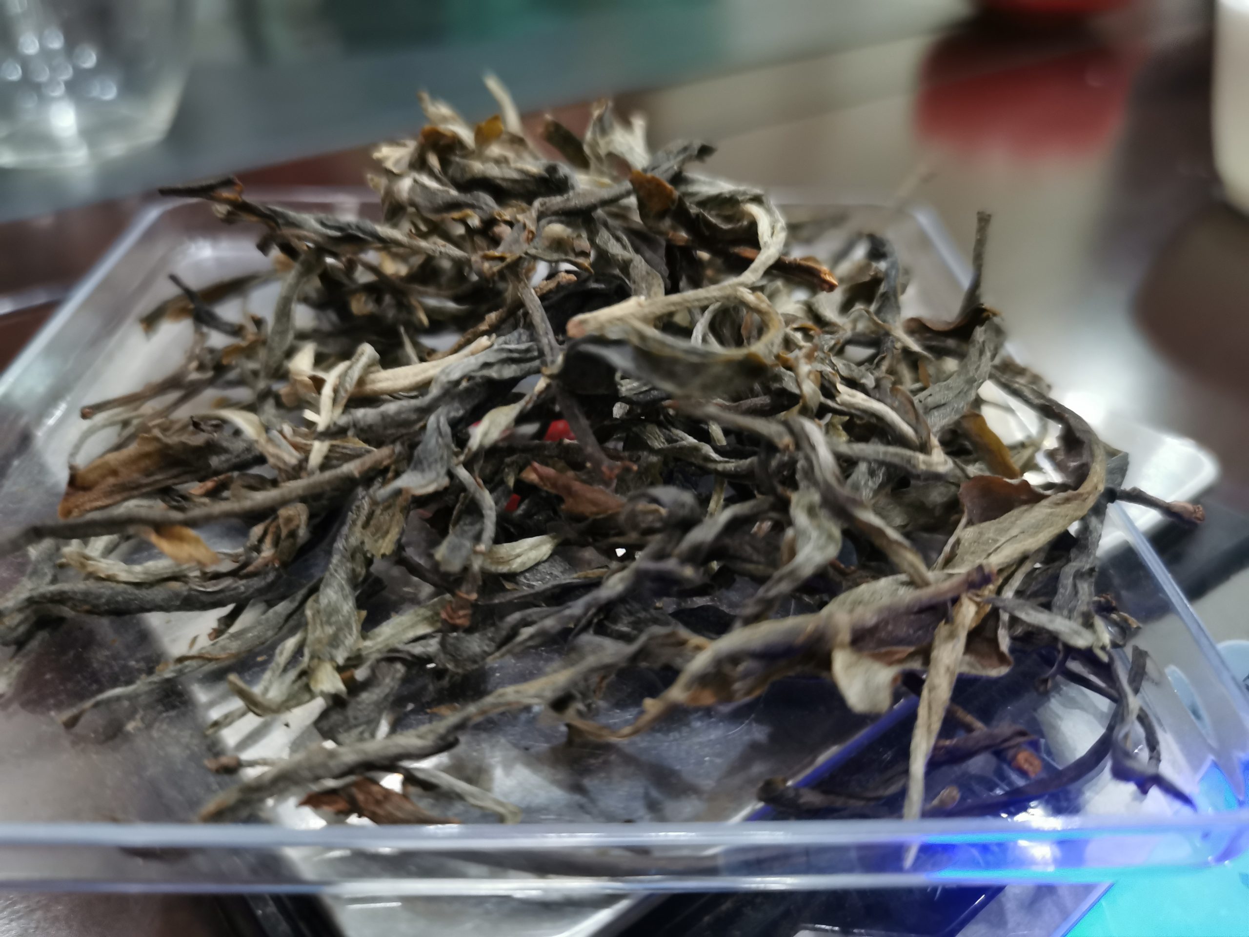 普洱生茶怎么辨别茶叶的好坏？