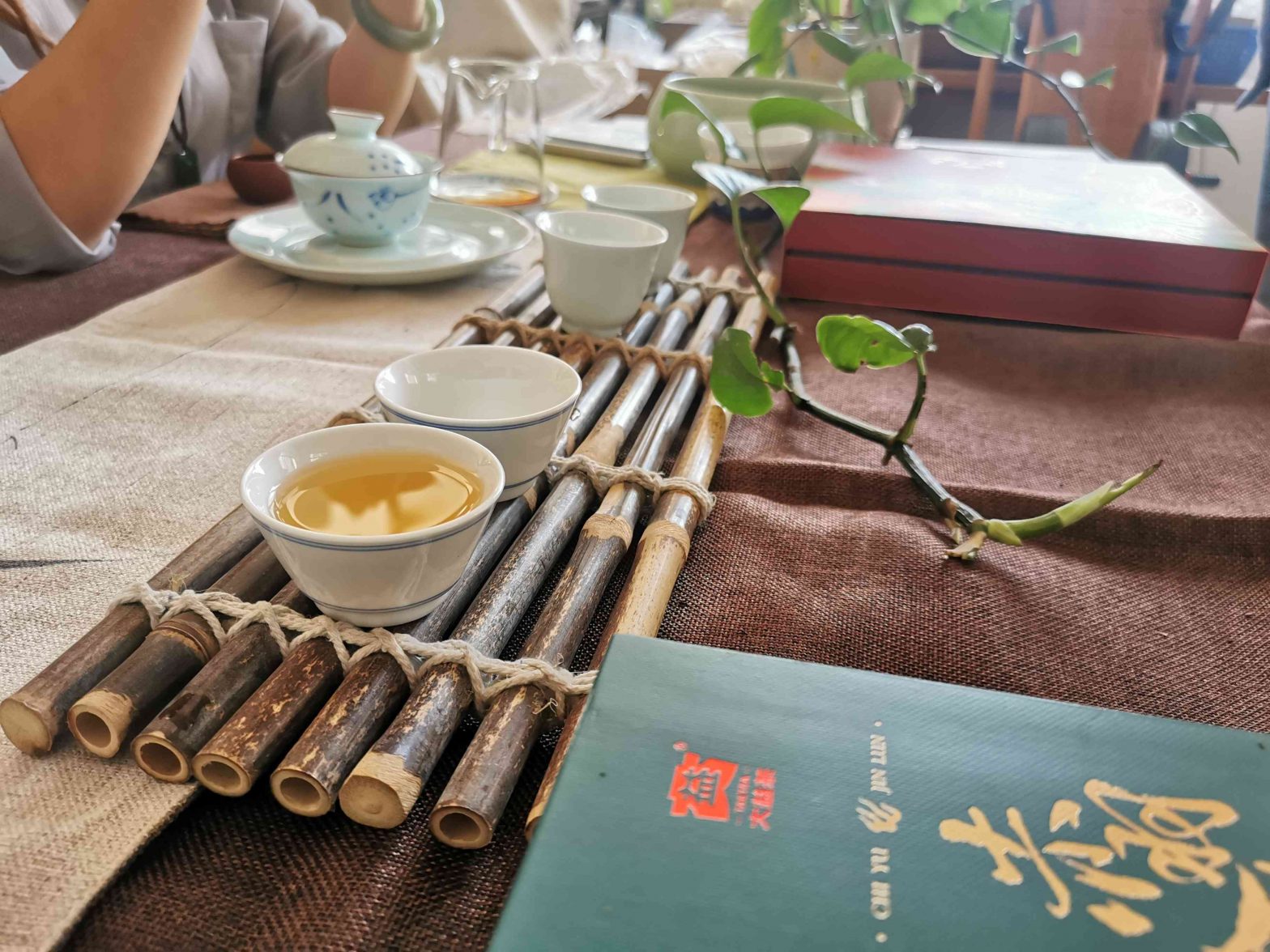 藤条茶到底是怎样形成的？